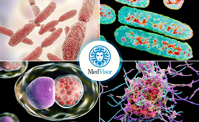 Возбудители острого бронхита Бронхит с пневмонией лечение у взрослых