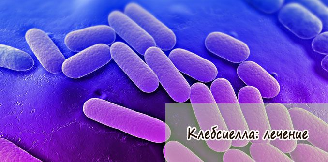klebsiella-lechenie klebsiella-lechenie