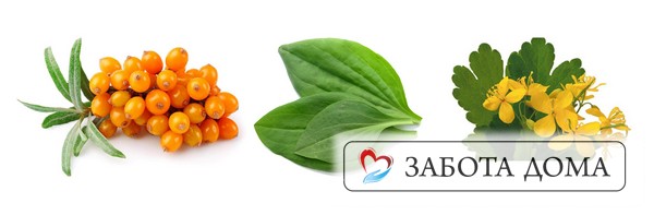 Как правило, это масло облепихи, экстракт подорожника, чистотела и подобные им. Облепиха Подорожник Чистотел