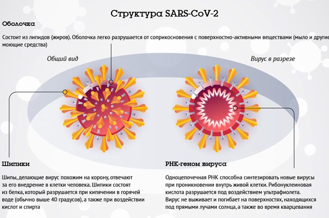 Пневмония что делать если нет врача