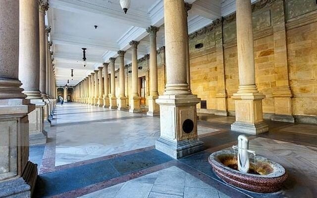 Карловы вары какой источник от подагры